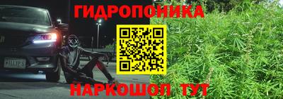 наркотики Гай